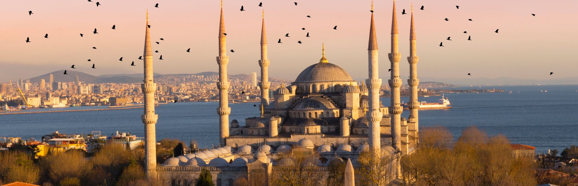 Istanbul Shuttle Here | Affordable, Reliable and Professional Airport Transfer